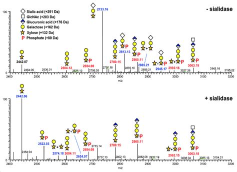 Deconvoluted Mass Spectra Of The Linker Tryptic Peptide [210 238] And Download Scientific