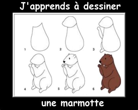 Des fiches j apprends à dessiner les animaux La Classe de Myli Breizh