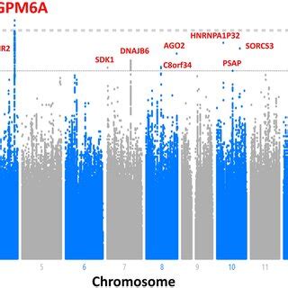 Manhattan Plot For The Genome Wide Association Study On Tinnitus The