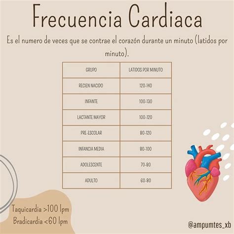 Frecuencia Cardíaca Material De Enfermeria Cosas De Enfermeria