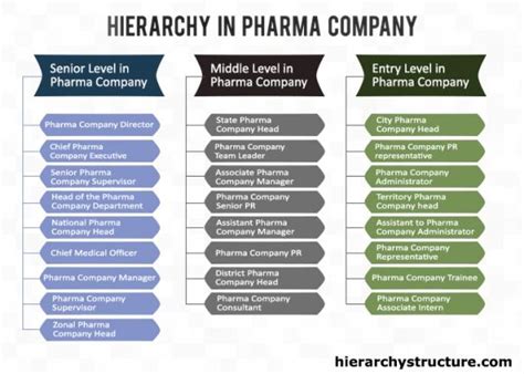 Hierarchy In Pharma Company Company Structure Pharma Companies