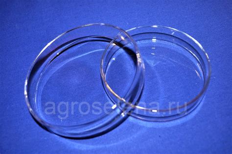 Чашка Петри (стекло) — купить по доступной цене | АГРОСЕЛЕНА