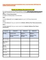 Wellness Plan Pdf Copy And Paste Assessment Worksheet Onto A New