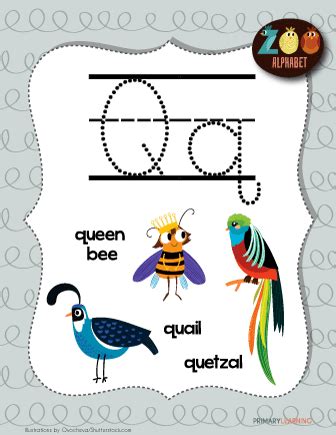 Letter Q Animals | Printable Poster | PrimaryLearning.Org