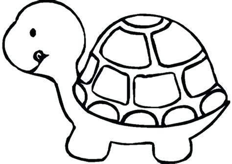 Simple Turtle Drawing At Explore Collection Of