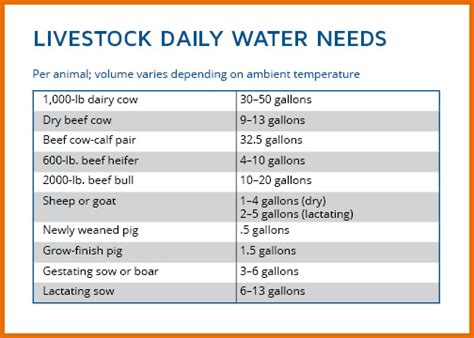 Water Requirements For Cattle at Christian Liao blog