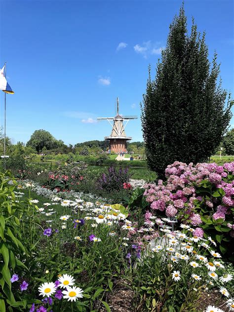 Recent Obituaries and Life Tributes for Holland, Michigan 7