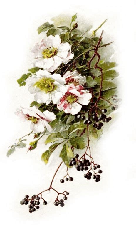 Пин от пользователя Csete Zsófia на доске Watercolor | Цветочные ...