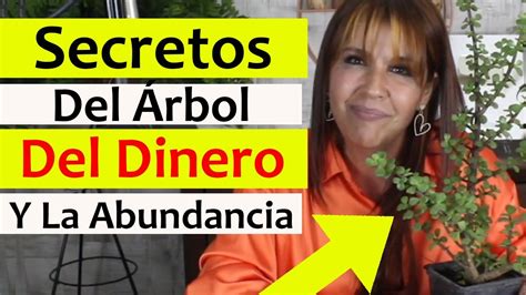 Lo Que Nunca Te Contaron De La Planta Del Dinero Atrae Mucha