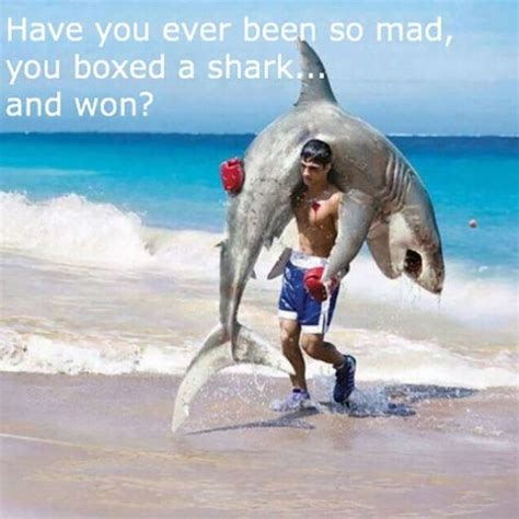 Funny Fishing Memes and Pictures