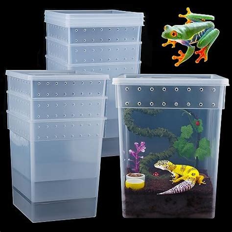 Amazon Pack Large Size Reptile Feeding Box Gecko Plastic