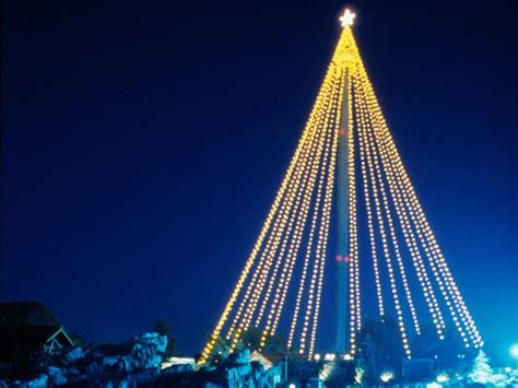 Christmas Tree Trail in San Diego, California