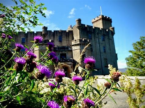 Visit |Dunvegan Castle & Gardens - Historic Houses | Historic Houses