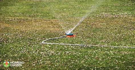 5 Best Sprinkler Controller Reviews: Smart Water-Saving Garden Gadgets