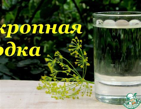 Укропная водка – кулинарный рецепт