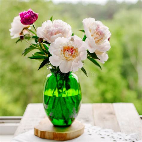 Beautiful Fresh Peonies Stock Photo Image Of Nature 110812926