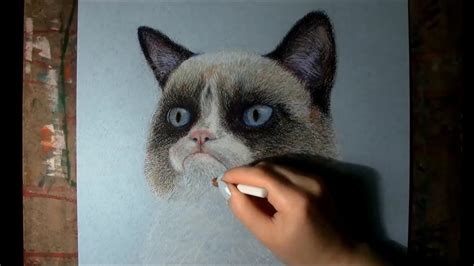 Grumpy Cat Drawing at PaintingValley.com | Explore collection of Grumpy ...