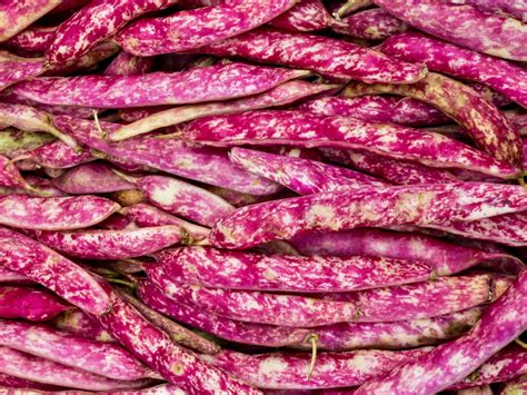 Borlotti Beans What Are They How To Cook Them Cooked Best