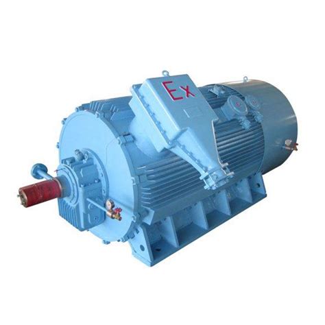 3 Phase Squirrel Cage Induction Motor