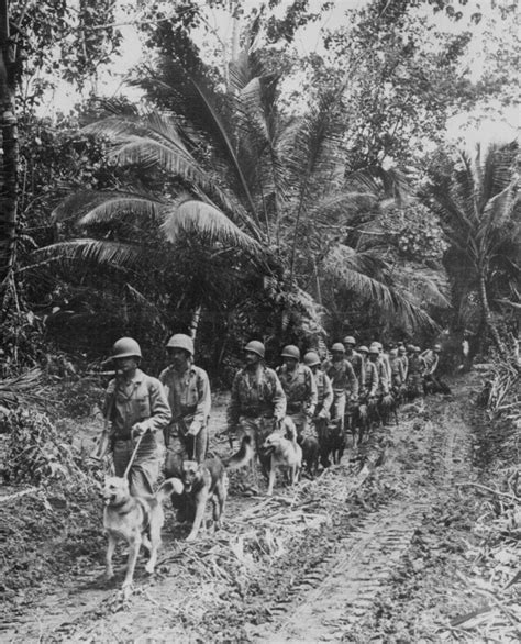 Us Marine Raiders In World War Ii Photos Defense Media Network