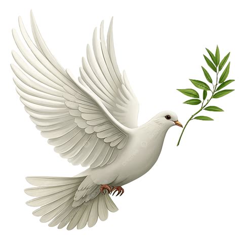 A 3d White Dove Holding Olive Branch On Realistic, White Dove, Dove