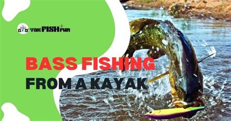 Bass Fishing From A Kayak Proven Tips For Maximum Success Yakfishfun