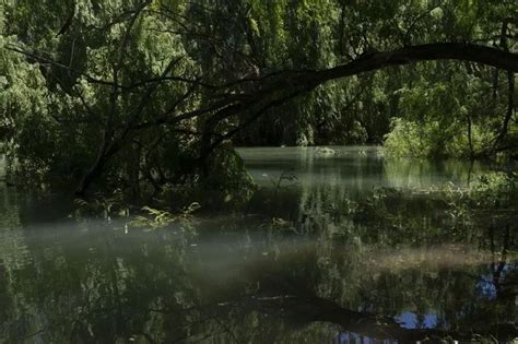 Furor por la nueva reserva de Neuquén por qué se llama Península Hiroki