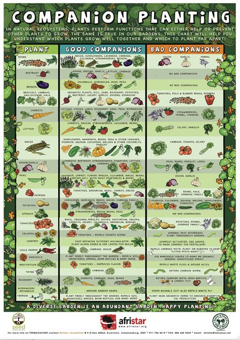 Savvy Housekeeping Companion Planting