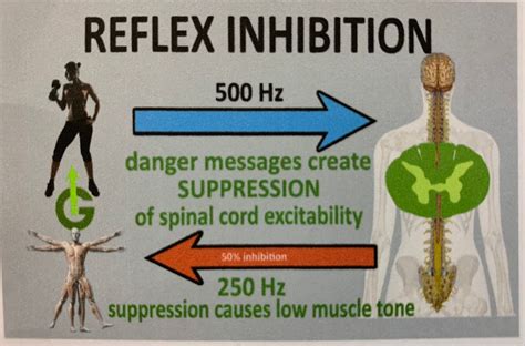 Are You In Pain Because Of Muscle Inhibition