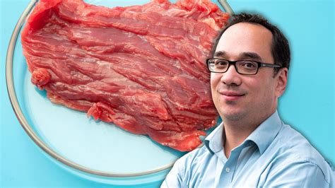 Prof Lin Hi „fleisch Aus Dem Reagenzglas Wird Kommen Wir Sollten