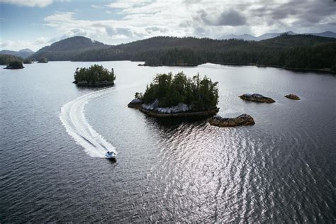 Guided Fishing - Tofino Resort + Marina