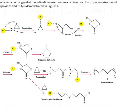 Figure. Coordinationninsertion mechanism suggested for the... | Download Scientific Diagram