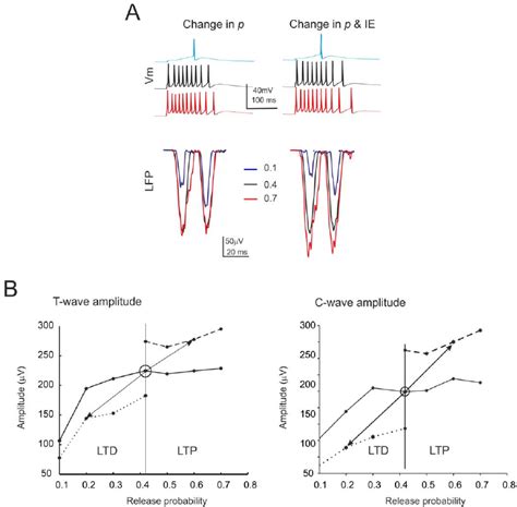 Simulations of the effects of long-term synaptic plasticity -I. ( A ... 