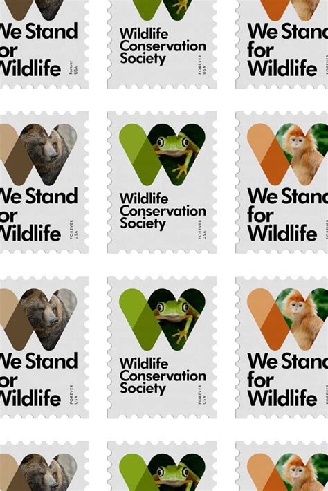 Wildlife Conservation Society in 2024 | Environmental graphics ...