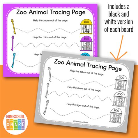 Free Zoo Tracing Lines Worksheets For Preschool Homeschool Share