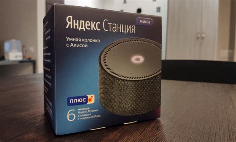 Алиса Колонка Описание – Telegraph