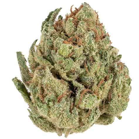 Bud Naked Lemon Cherry Haze Sativa Buy Lemon Cherry Haze