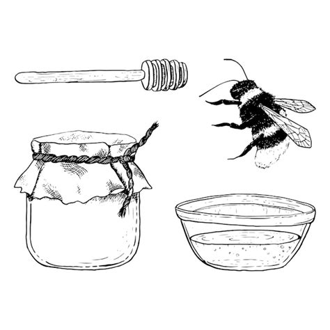 Illustration Vectorielle De Miel Sertie De Bol En Verre De Pot De