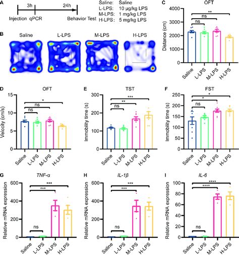 Low Dose Lps Did Not Induce Depressive Like Behavior In Mice A