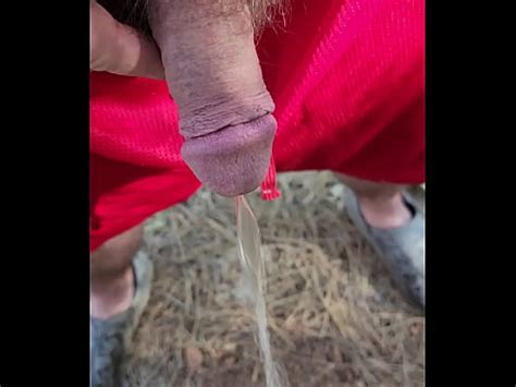 Meando En El Bosque Xvideos