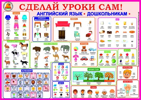 Учебные плакаты (29 фото)