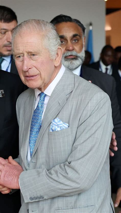 Everyone's saying same thing about King Charles's tie - 'Is he having a dig at Sunak?' | Royal ...