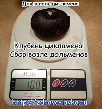 Купить Капли цикламена Интернет-магазин. Для здоровья тела и духа