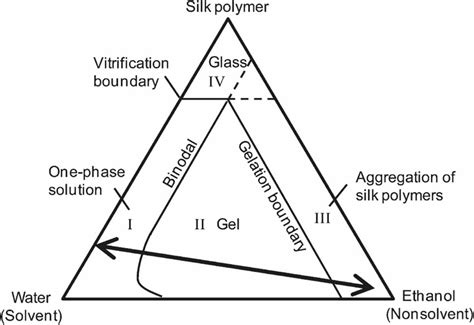 Schematic Diagram Of The Ternary Phase System Silk Polymer Water