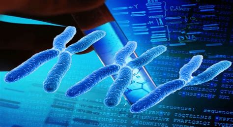 How should a person with Klinefelter syndrome (XXY chromosomes ...