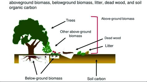 How AFOLU Sector Is Responsible For GHG Emission And Removal Moja