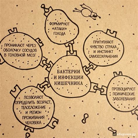 Книга: "Очаровательный кишечник. Как самый могущественный орган ...