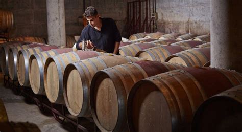 Par le soutirage le vigneron décante le vin au cours de lélevage pour