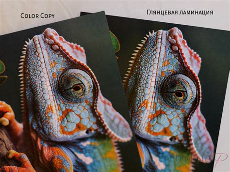 Ламинация бумаги при цифровой печати. Тестирование - Типография Цифра-Р