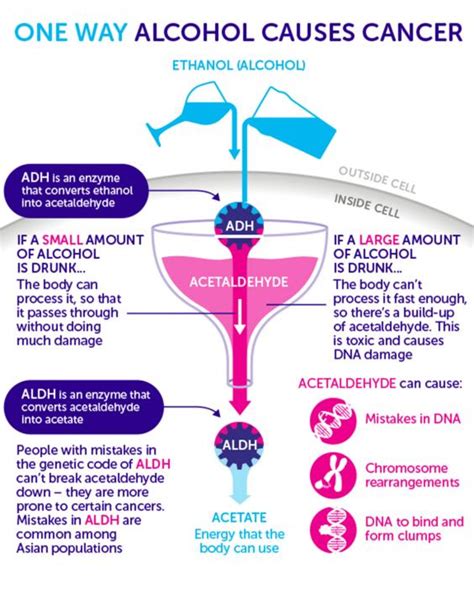 How Does Alcohol Cause Cancer The Independent